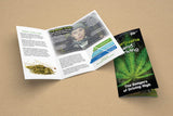 Load image into Gallery viewer, Marijuana and Driving: The Dangers of Driving High (100-Pack)
